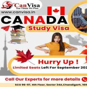 Can Visa